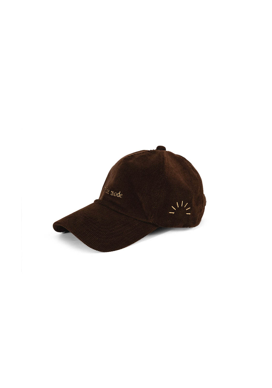 Ray of Light Offline Mode corduroy cap in Brown - left view
