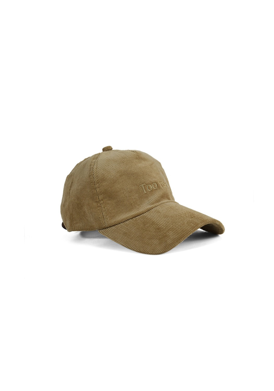 Ray of Light Too Real corduroy cap in Beige - right view