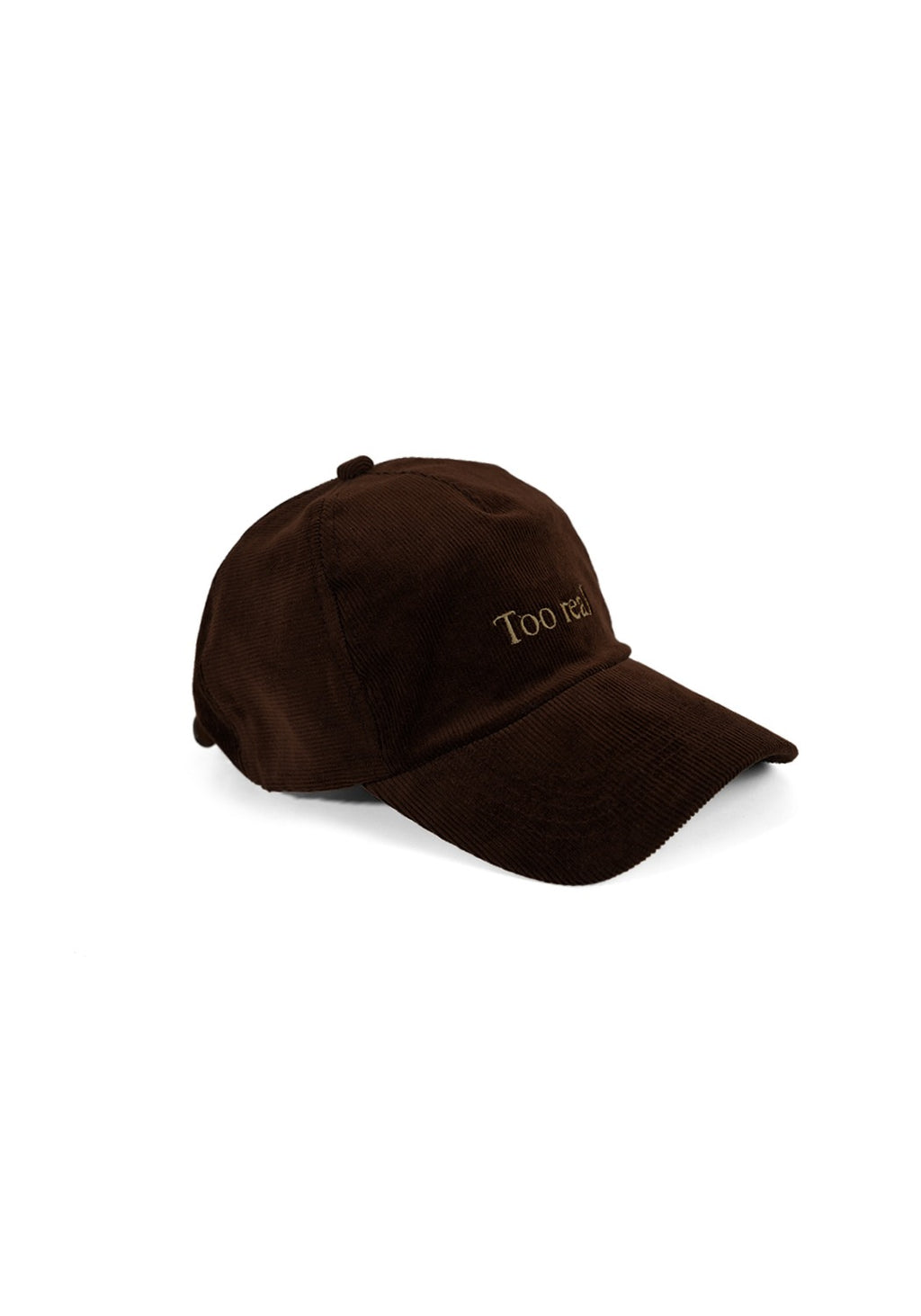 Ray of Light Too Real corduroy cap in Brown - right view