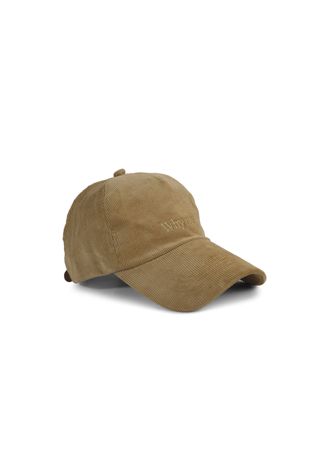 Ray of Light Why Not corduroy cap in Beige - right view