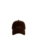 Ray of Light Why Not corduroy cap in Brown - front view