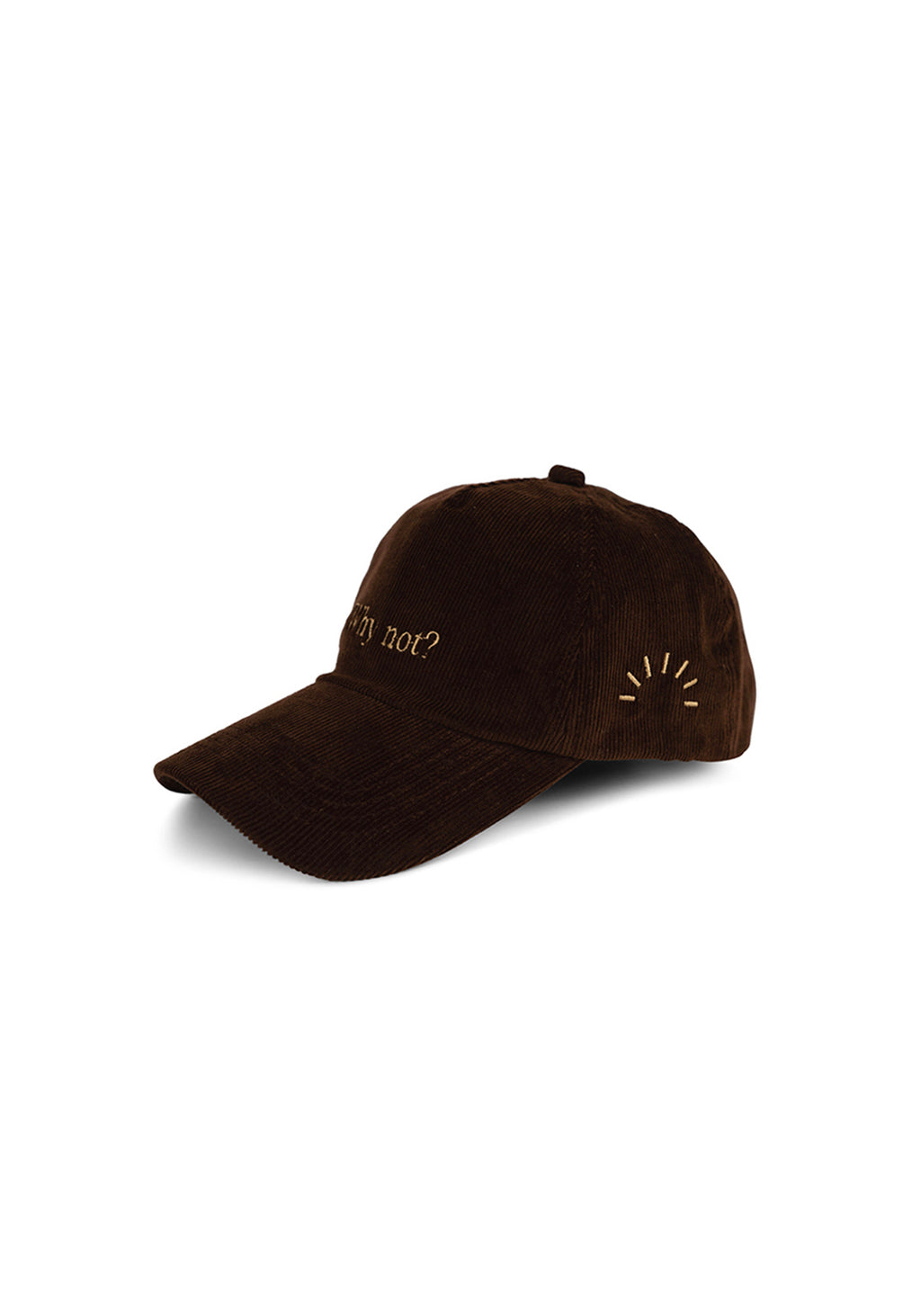 Ray of Light Why Not corduroy cap in Brown - left view