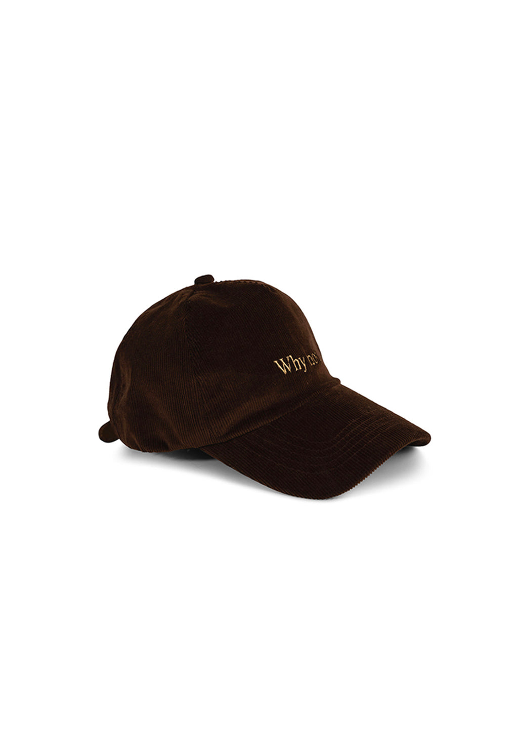 Ray of Light Why Not corduroy cap in Brown - right view